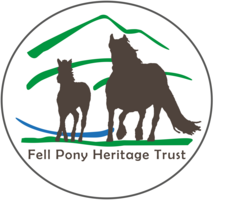 Fell Pony Heritage Trust